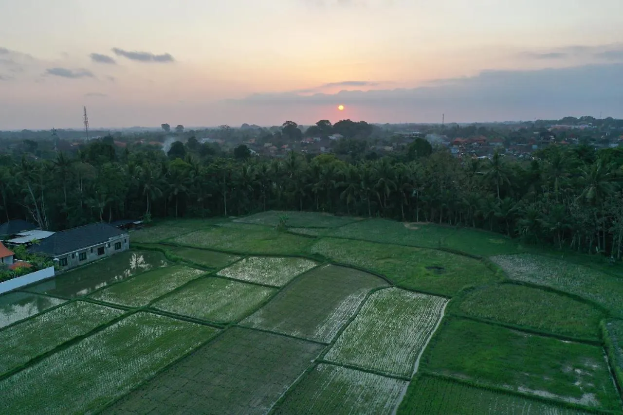 Sila Urip Guest House Ubud  0*, Ubud (Bali)